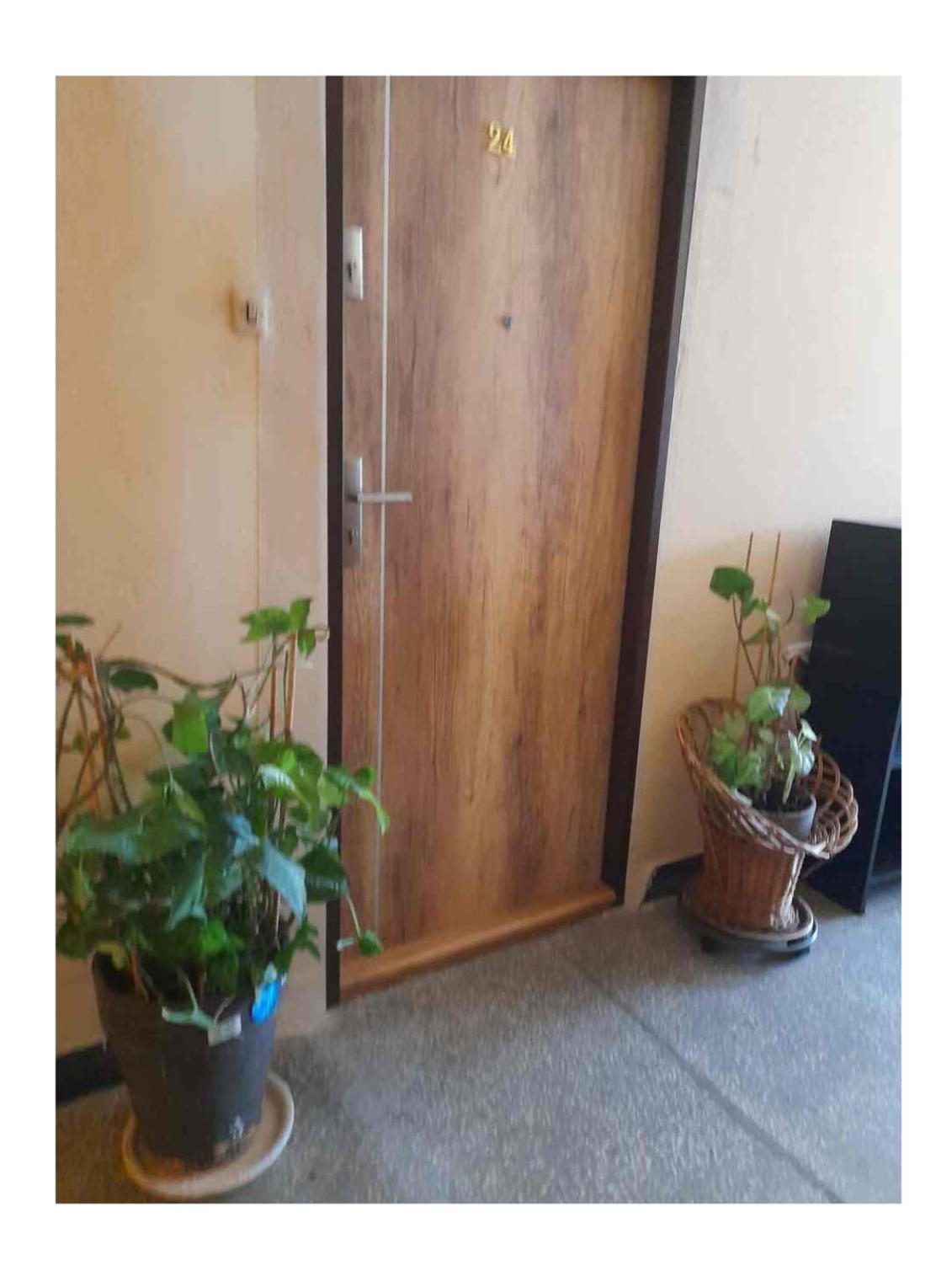Leilighet с любовью